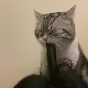 黄网址导航大全
